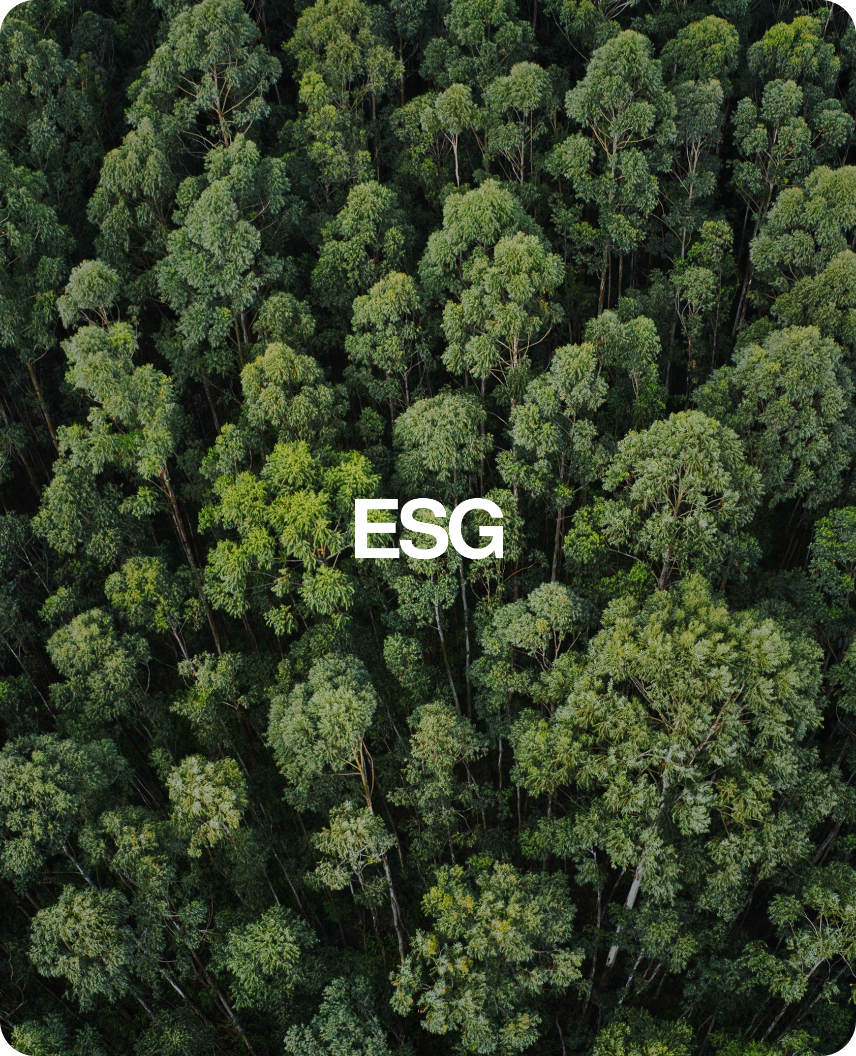 ESG como parte da nossa forma de atuar